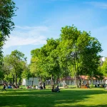 Bilgi University Dormitory Prices – Boy Dormitories Near